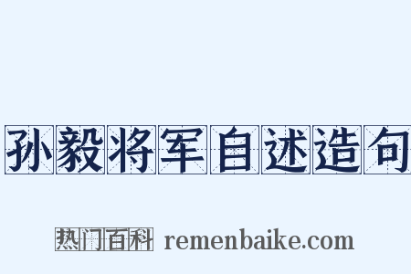 孙毅将军自述造句是什么意思的图片